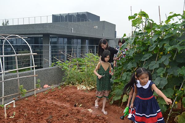 太陽能路燈，太陽能路燈廠家，太陽能路燈價格