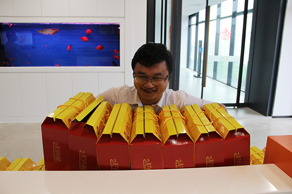 太陽能路燈，太陽能路燈廠家，太陽能路燈價格