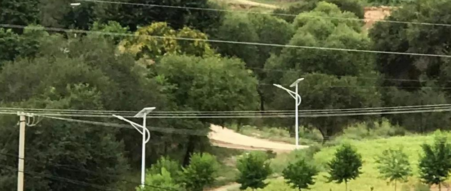 案例賞析〡云雁高飛，助力鄉村振興